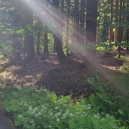 Kiosek U Stare Lanovky * Jańskie Łaźnie