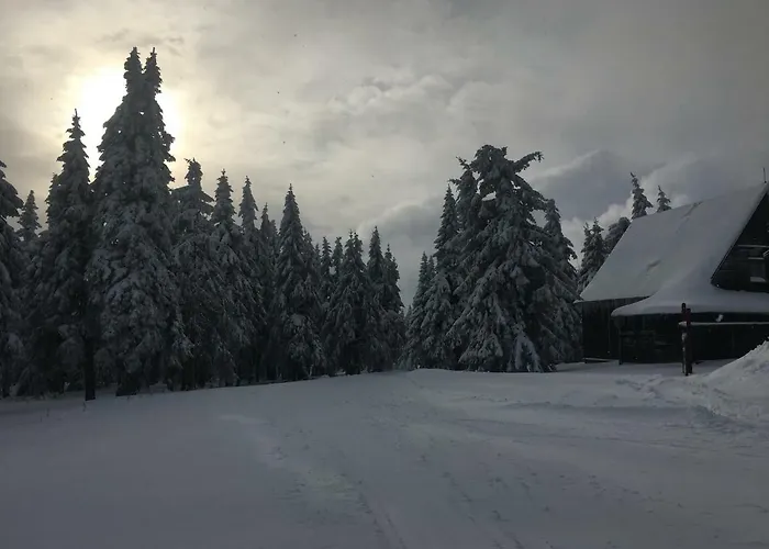 Kiosek U Staré Lanovky Bed & Breakfast 3*